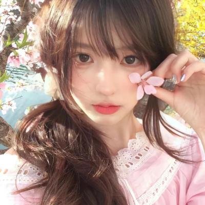 托托的色彩美学观